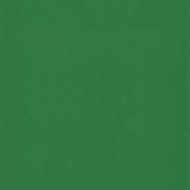 Tarragon