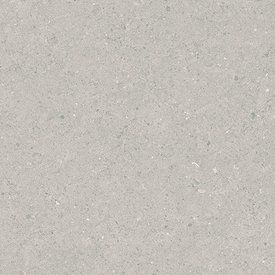 Limestone - Fossil