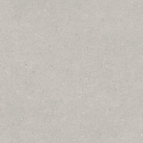 Contempo Limestone - Fossil Grip