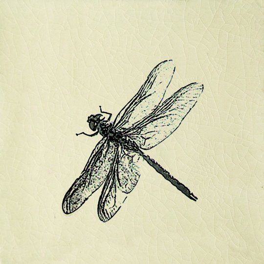 Engravings, Dragonfly Cream, Gloss