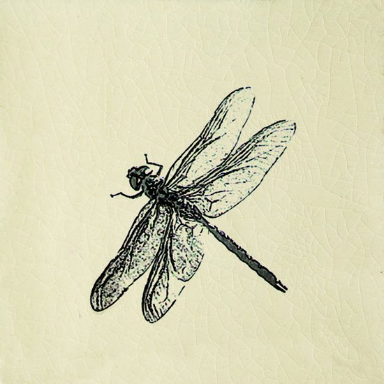 Engravings Dragonfly Cream Gloss