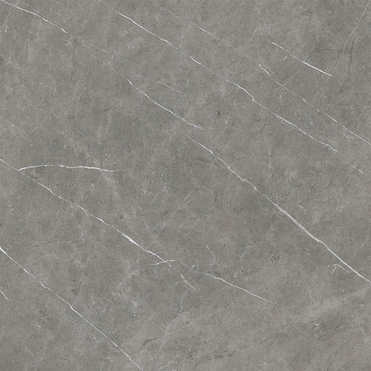 Select Collection — Eden Steel Natural — Johnson Tiles