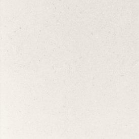 Fossilite - White