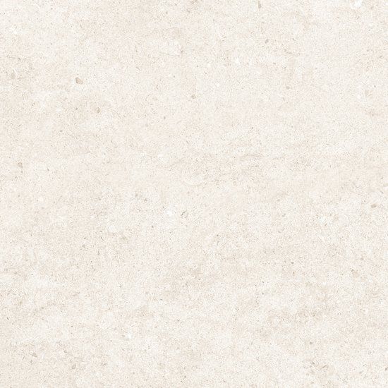Fossilite White Natural
