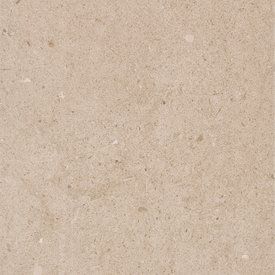 Fossilite - Taupe