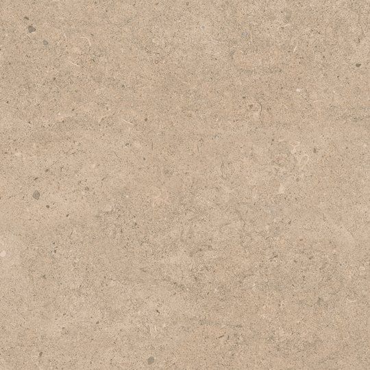 Fossilite, Taupe, Natural