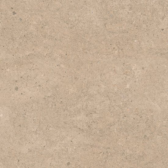 Fossilite Taupe Natural