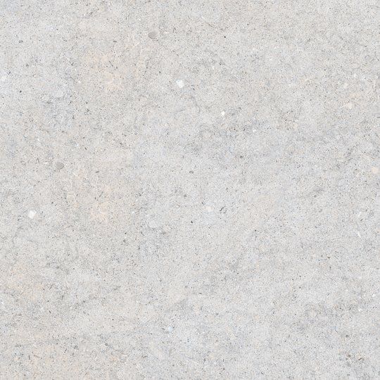 Fossilite, Grey, Natural
