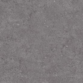 Fossilite - Black