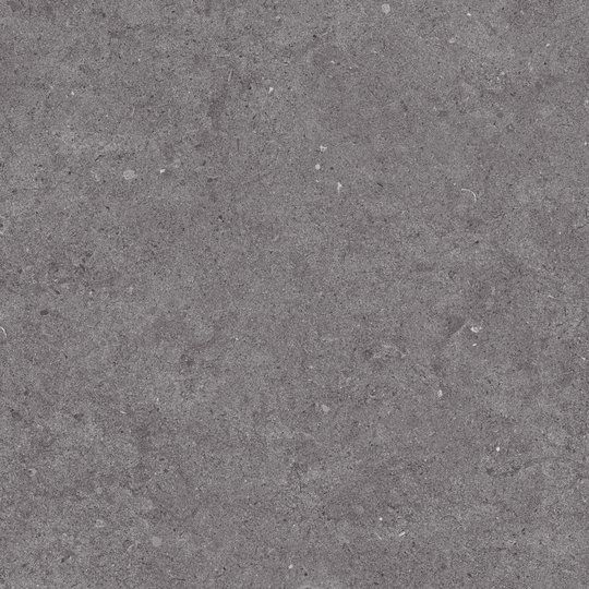Fossilite, Black, Natural