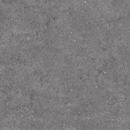 Fossilite Black Natural