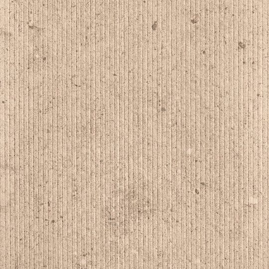 Fossilite, Taupe, Natural