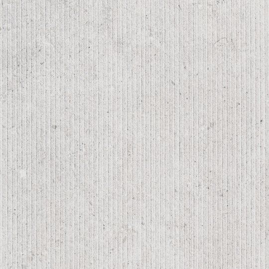 Fossilite, Grey, Natural