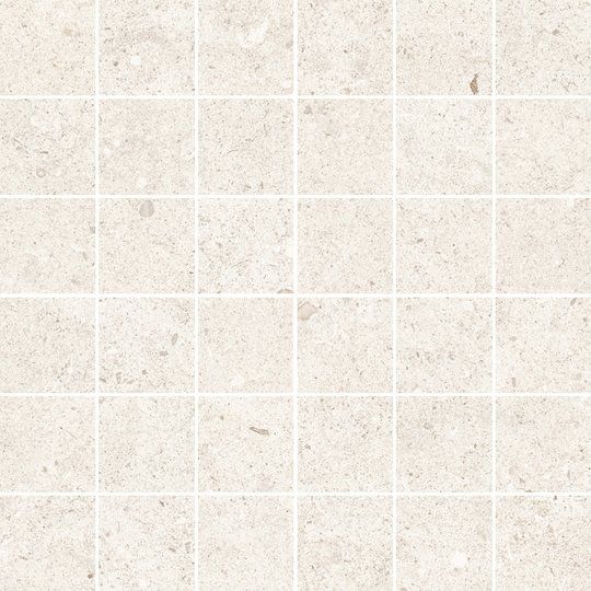 Fossilite, White, Natural