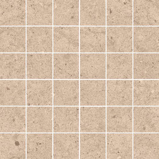 Fossilite, Taupe, Natural