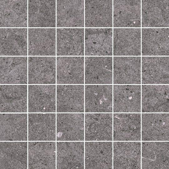 Fossilite, Black, Natural