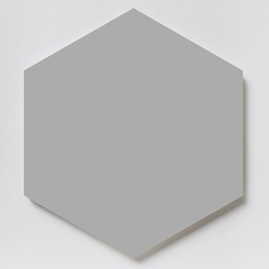 Hex25 Silver Antislip Hexagon