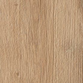 Elm
