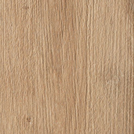 Timberline Elm Natural